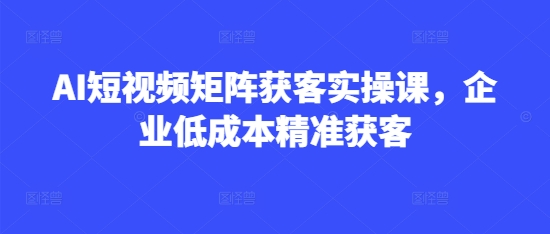 AI短视频矩阵获客实操课，企业低成本精准获客-丸动小站