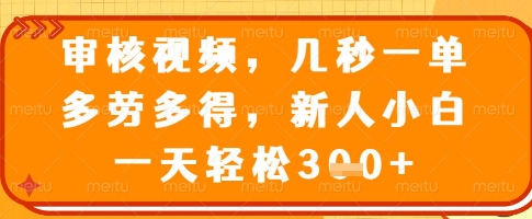 审核视频，几秒一单，多劳多得，新人小白一天轻松3张【揭秘】-丸动小站