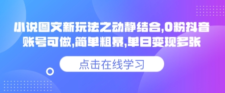 小说推文图文新玩法之动静结合，0粉抖音账号可做，简单粗暴，单日变现多张-丸动小站