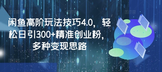 闲鱼高阶玩法技巧4.0，轻松日引300+精准创业粉，多种变现思路-丸动小站