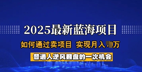 2025蓝海项目，普通人如何通过卖项目，实现月入过W，全过程【揭秘】-丸动小站