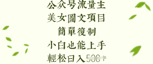 流量主长期收益项目，美女图片简单复制，小白也能上手，轻松日入5张-丸动小站