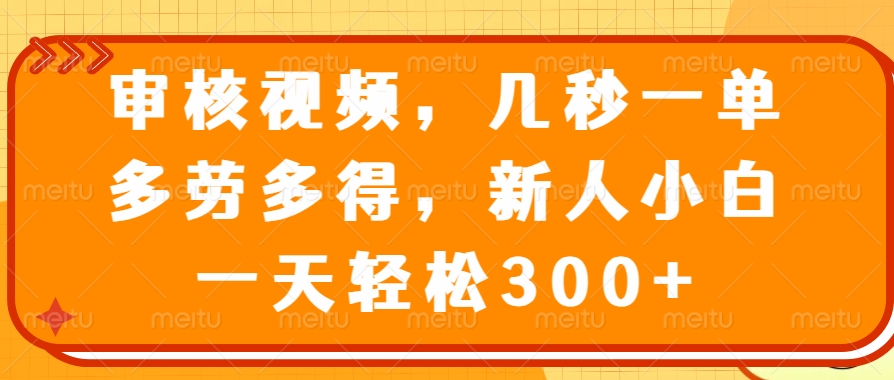 审核视频，几秒一单，多劳多得，新人小白一天轻松300+-丸动小站