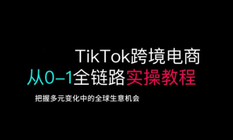 TikTok跨境电商从0-1全链路全方位实操教程，把握多元变化中的全球生意机会-丸动小站