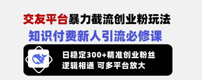 交友平台暴力截流创业粉玩法，知识付费新人引流必修课，日稳定300+精准创业粉丝，逻辑相通可多平台放大-丸动小站