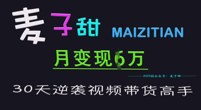 麦子甜30天逆袭视频带货高手，单月变现6W加特训营-丸动小站