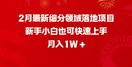 2月最新细分领域落地项目，新手小白也可快速上手，月入1W-丸动小站