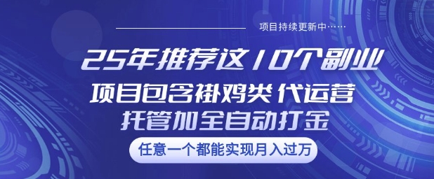 25年推荐这10个副业项目包含褂鸡类、代运营托管类、全自动打金类【揭秘】-丸动小站