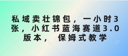 私域卖壮锦包，一小时3张，小红书蓝海赛道3.0版本， 保姆式教学-丸动小站