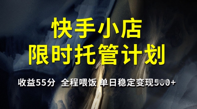 快手小店限时托管计划，收益55分，全程喂饭，单日稳定变现5张【揭秘】-丸动小站