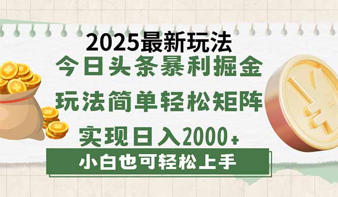 今日头条2025最新玩法，思路简单，复制粘贴，轻松实现矩阵日入2000+-丸动小站