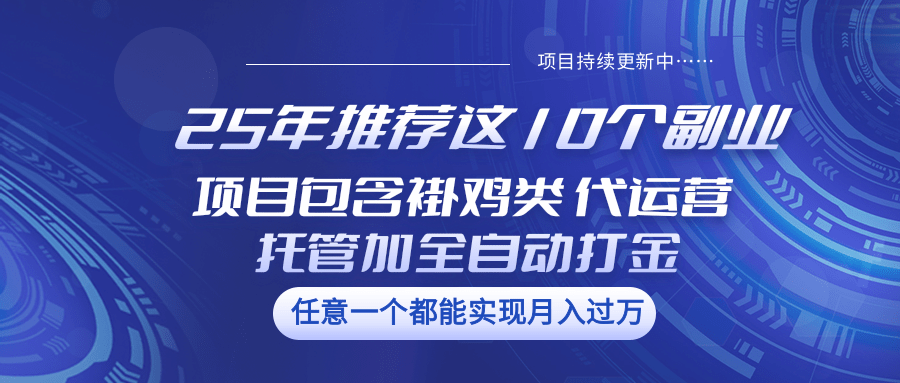 25年推荐这10个副业 项目包含褂鸡类、代运营托管类、全自动打金类-丸动小站