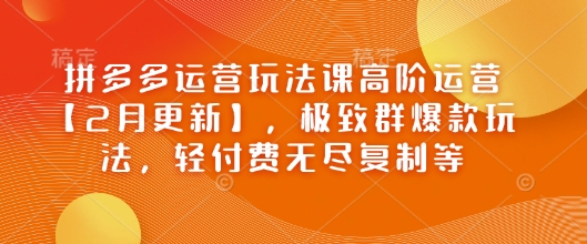 拼多多运营玩法课高阶运营【2月更新】，极致群爆款玩法，轻付费无尽复制等-丸动小站