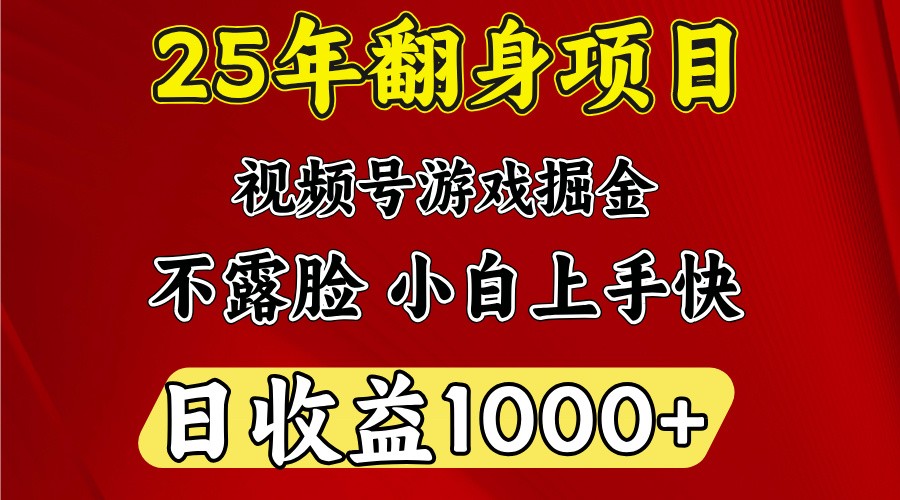 一天收益1000+ 25年开年落地好项目-丸动小站