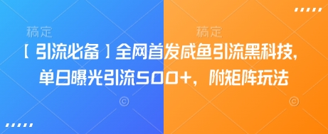 【引流必备】全网首发咸鱼引流黑科技，单日曝光引流500+，附矩阵玩法【揭秘】-丸动小站