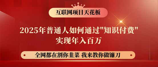 镰刀训练营超级IP合伙人，25年普通人如何通过“知识付费”年入百万！-丸动小站