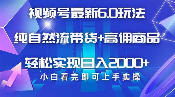 视频号带货最新6.0玩法，作品制作简单，当天起号，复制粘贴，轻松矩阵…-丸动小站