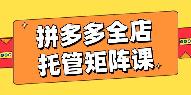 拼多多全店托管矩阵课，盈利动销玩法，高效计划设置，提升店铺效益-丸动小站