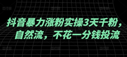 抖音暴力涨粉实操3天千粉，自然流，不花一分钱投流，实操经验分享-丸动小站