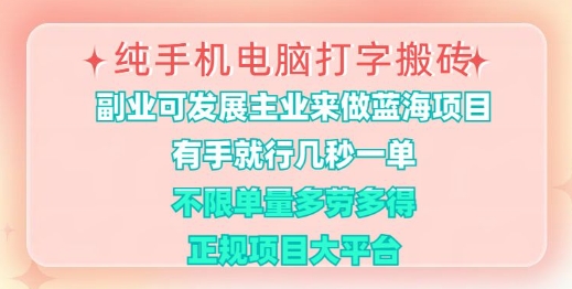 纯手机电脑打字搬砖，有手就行，几秒一单，多劳多得，正规项目大平台【揭秘】-丸动小站