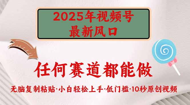 2025年视频号新风口，低门槛只需要无脑执行-丸动小站