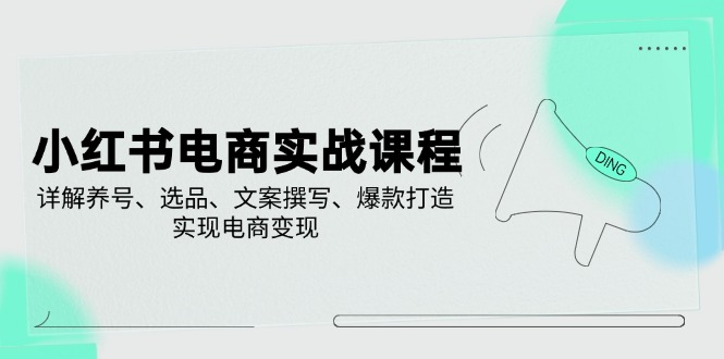 小红书电商实战课程，详解养号、选品、文案撰写、爆款打造，实现电商变现-丸动小站