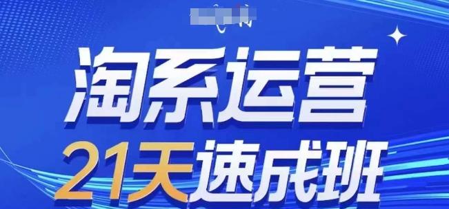 淘系运营21天速成班(更新25年2月)，0基础轻松搞定淘系运营，不做假把式-丸动小站