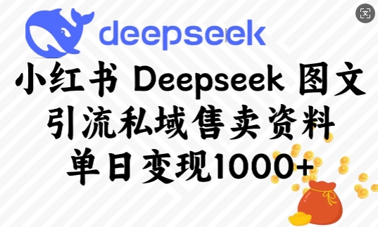 小红书Deepseek图文引流私域售卖资料，单日变现多张-丸动小站