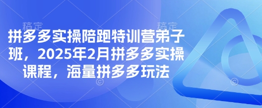 拼多多实操陪跑特训营弟子班，2025年2月拼多多实操课程，海量拼多多玩法-丸动小站