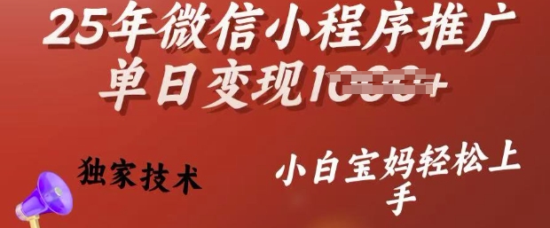 25年微信小程序推广单日变现多张，独家技术，小白宝妈轻松上手【揭秘】-丸动小站