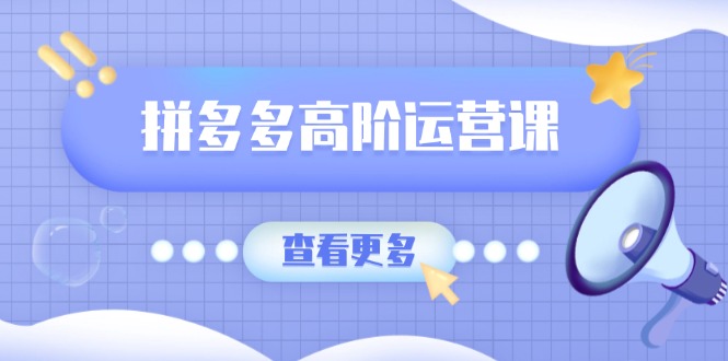 拼多多高阶运营课：极致群爆款玩法，轻付费无尽复制，打造单品爆款之路-丸动小站