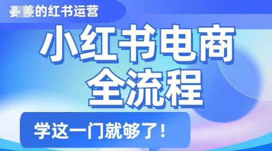 小红书电商全流程，精简易懂，从入门到精通，学这一门就够了-丸动小站