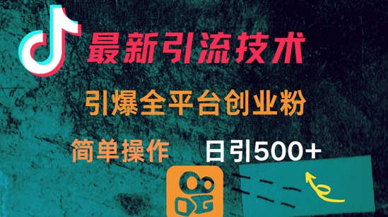 最新引流方法，引爆全平台的一个创业粉，简单操作日引300+-丸动小站